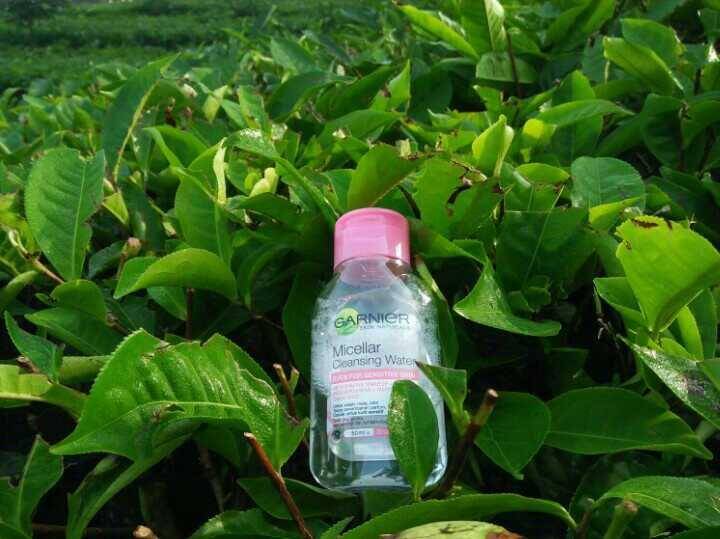 Garnier Micellar Cleansing Water (dok. pribadi/Mutiara A.)