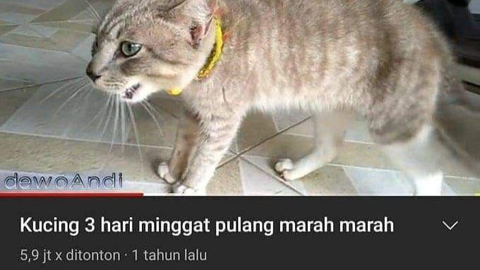 10 Judul Video YouTube Paling Out Of The Box, Aneh Bin Ajaib Kocaknya!