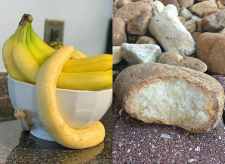 10 Foto Benda Mirip Makanan, kok Bikin Ngiler?