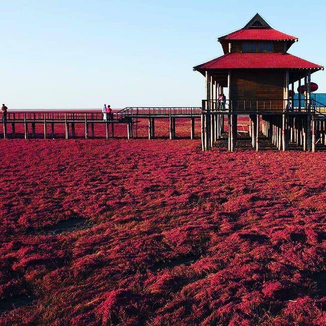 Red Beach (instagram.com/travelgramresande)