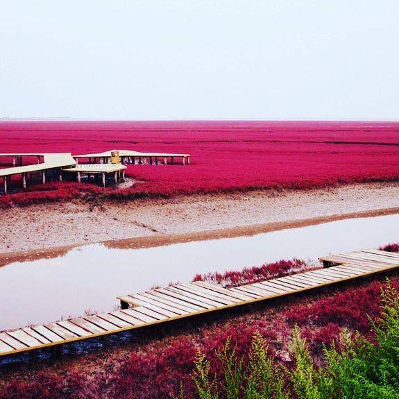 Red Beach (instagram.com/travelgramresande)