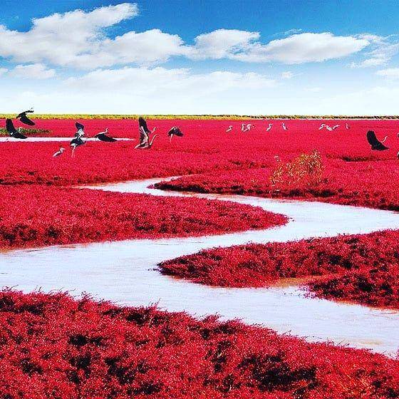 Red Beach (instagram.com/travelgramresande)