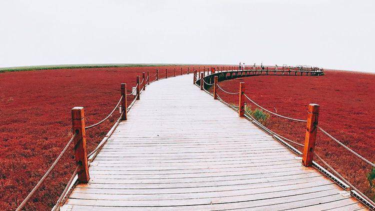 Red Beach (instagram.com/cocoongclover)