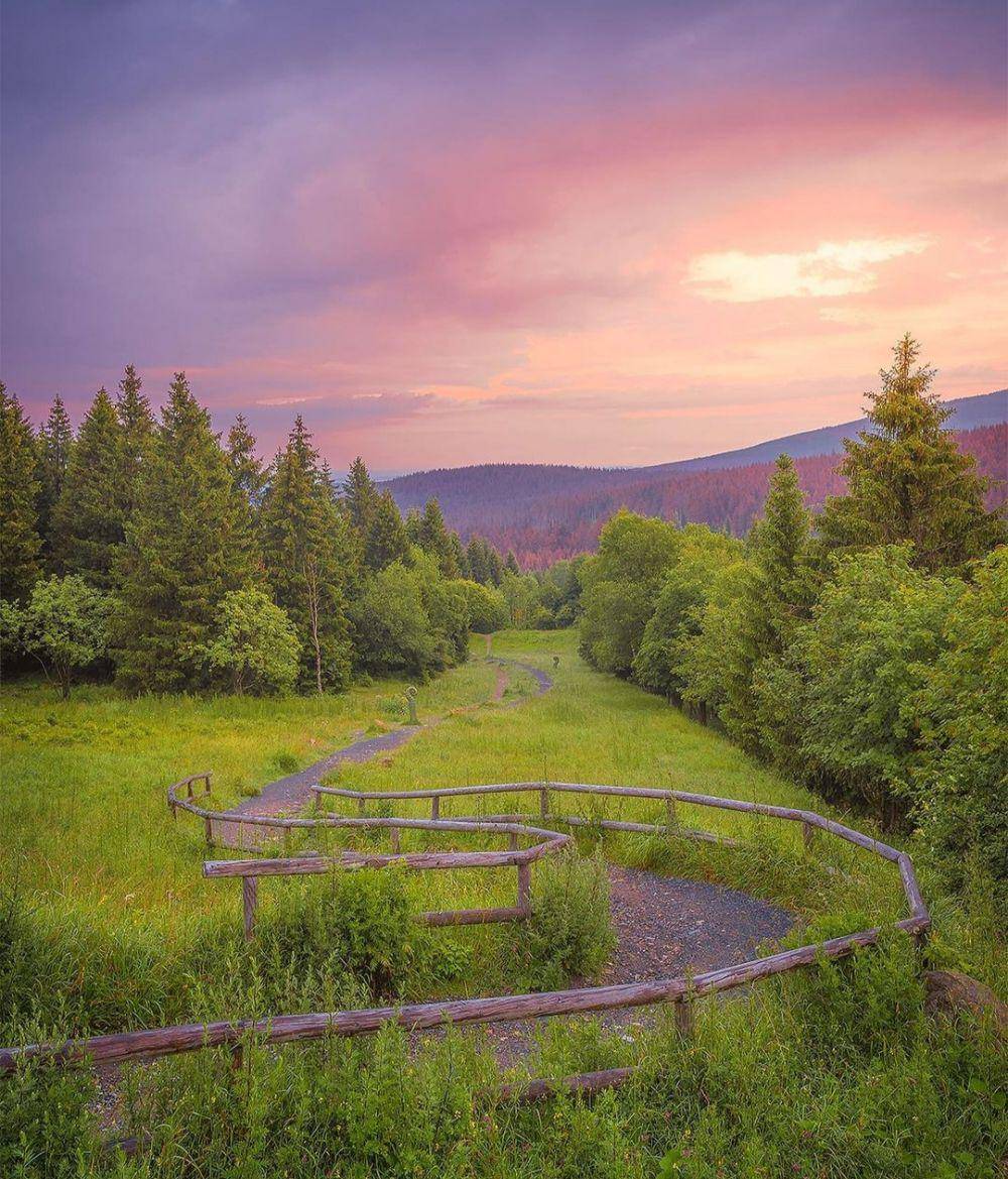 Taman Nasional Harz (Instagram.com/herfurthfoto)