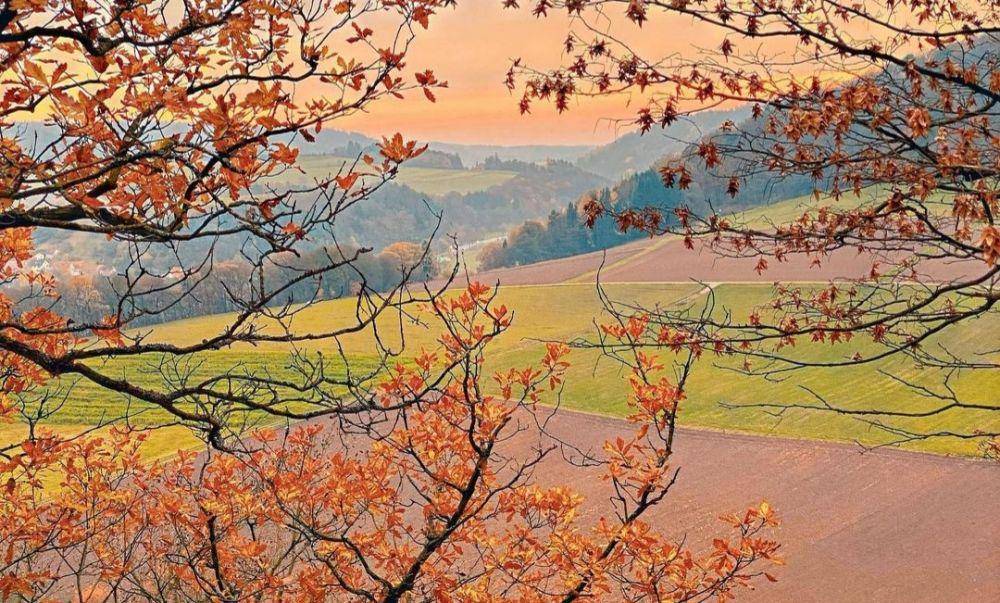 Taman Nasional Kellerwald-Edersee (Instagram.com/fratuschi_magazin)