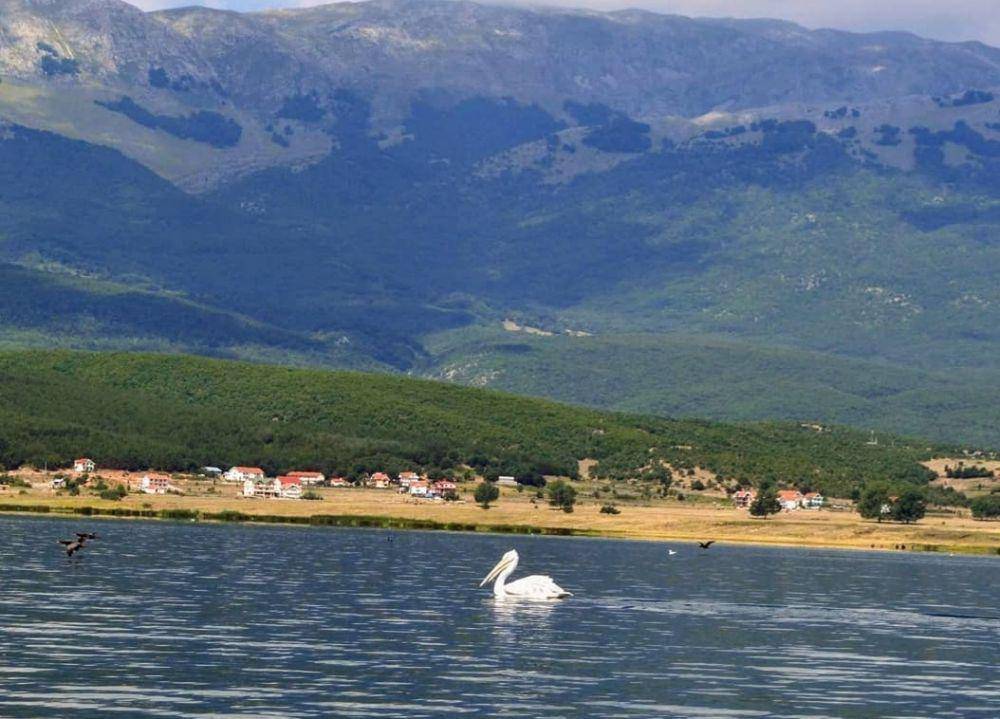 Taman Nasional Prespa (Instagram.com/i.shyti)