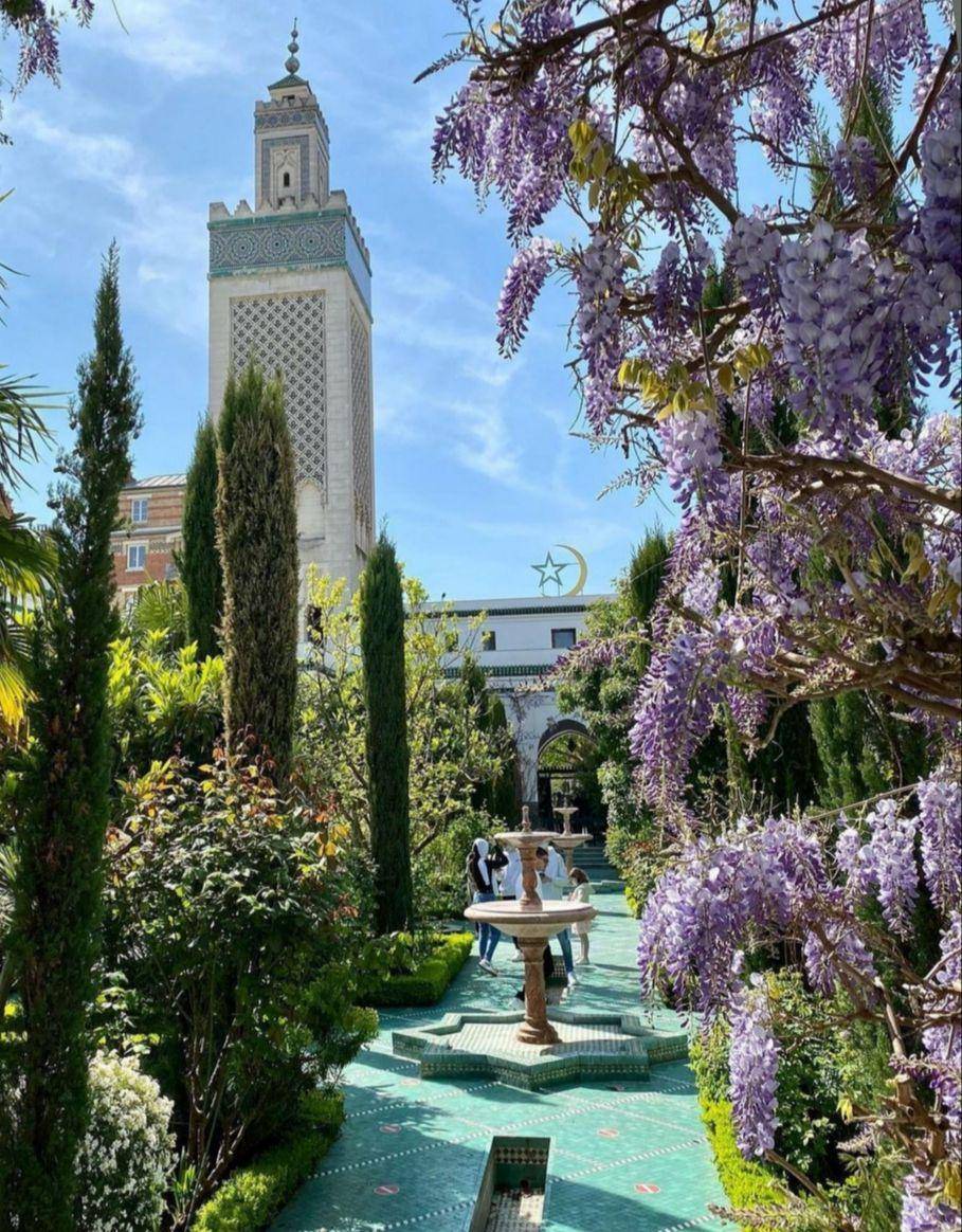 The Grande Mosquée de Paris (Instagram.com/pierreschwich)