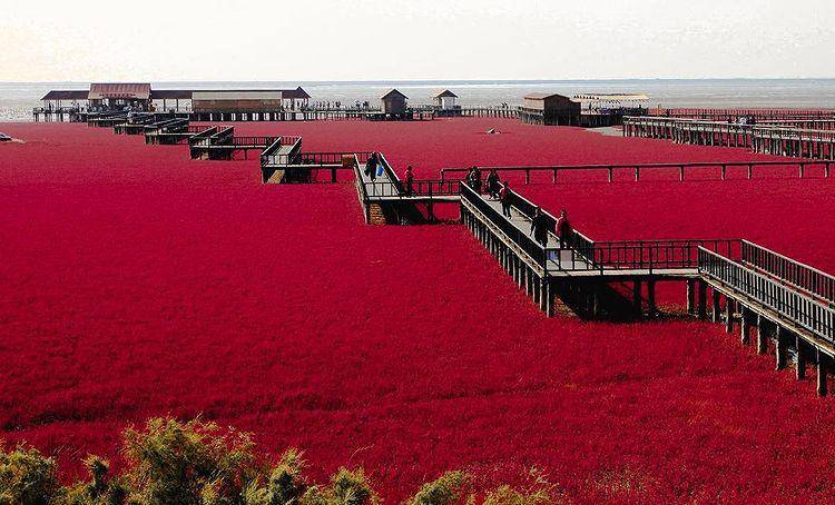 Red Beach (instagram.com/bmc.travel)