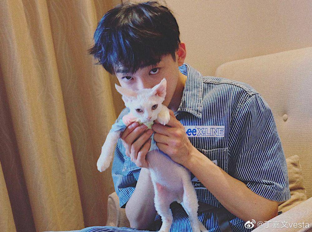 Ding Jia Wen '(weibo.com/u/3421483792)