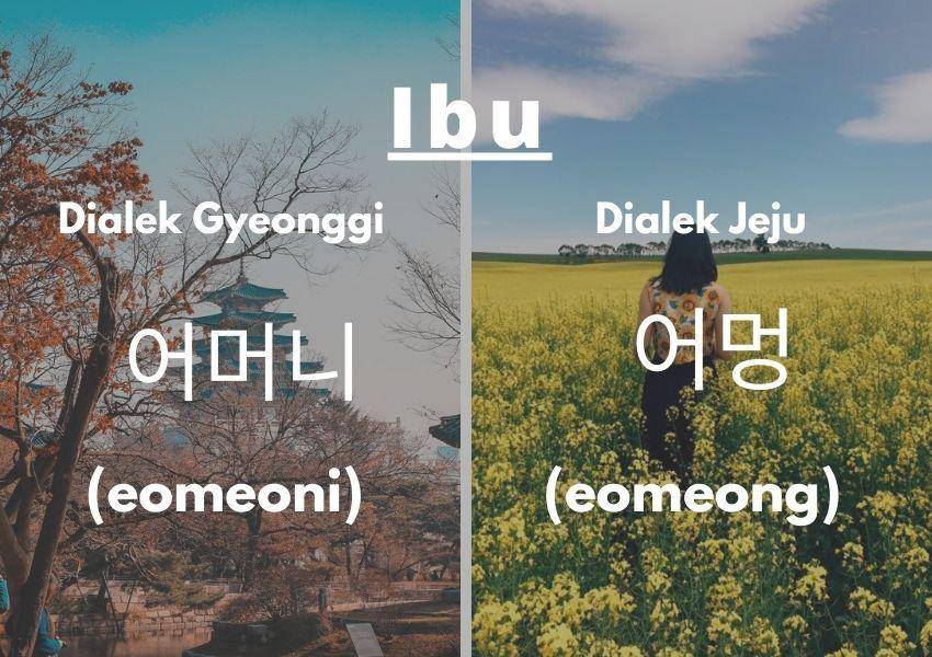 Perbedaan dialek di Korea Selatan (Dok.Pribadi/Moza Kazumi)
