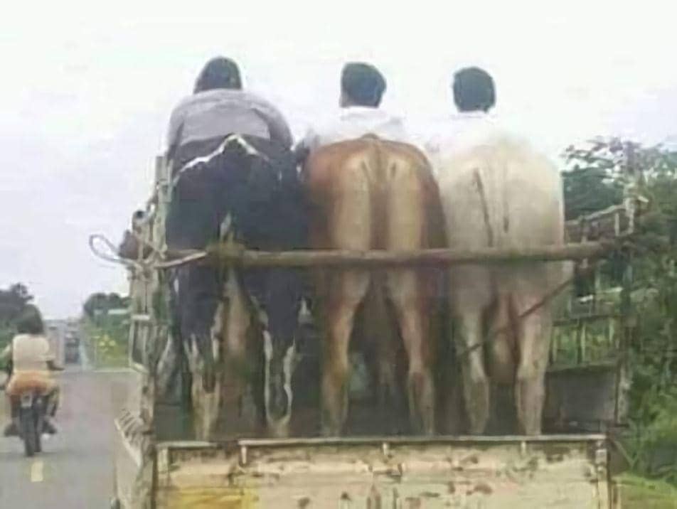 difoto dari belakang kocak (instagram.com/sukijan.id)