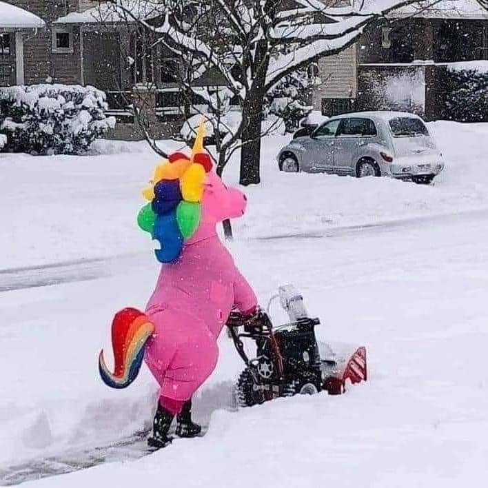 difoto dari belakang kocak (instagram.com/wkwkland_real)