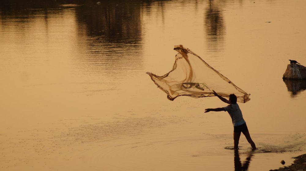 ilustrasi menangkap ikan dengan jaring (unsplash.com/amito09)