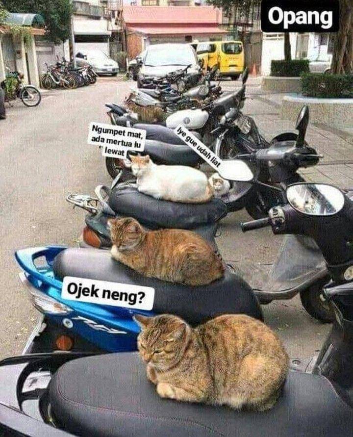 meme parkiran unik (instagram.com/newdramaojol.id)