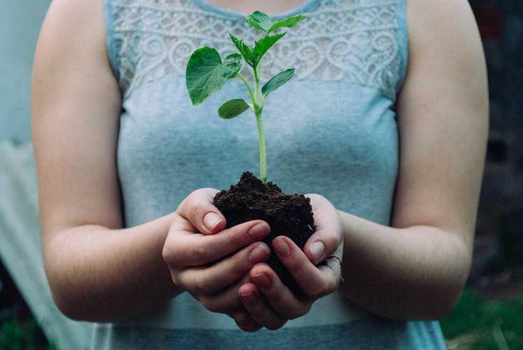 #GreenBeauty 5 Cara Mudah Menjaga Lingkungan dari Rumah, Effortless!