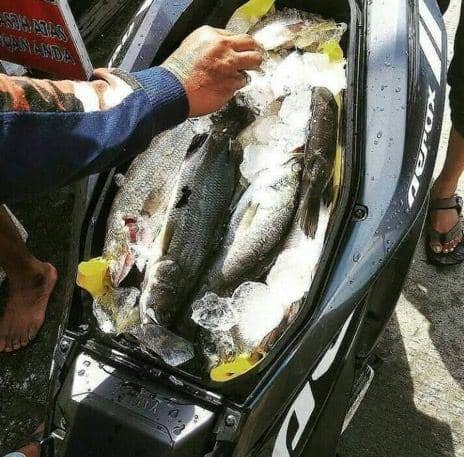 potret modifikasi motor unik (twitter.com/txtdariotomotif)