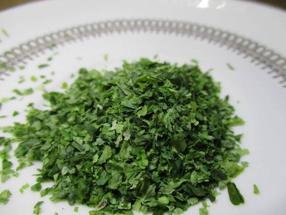 ilustrasi rumput laut (pixabay.com/F_A)