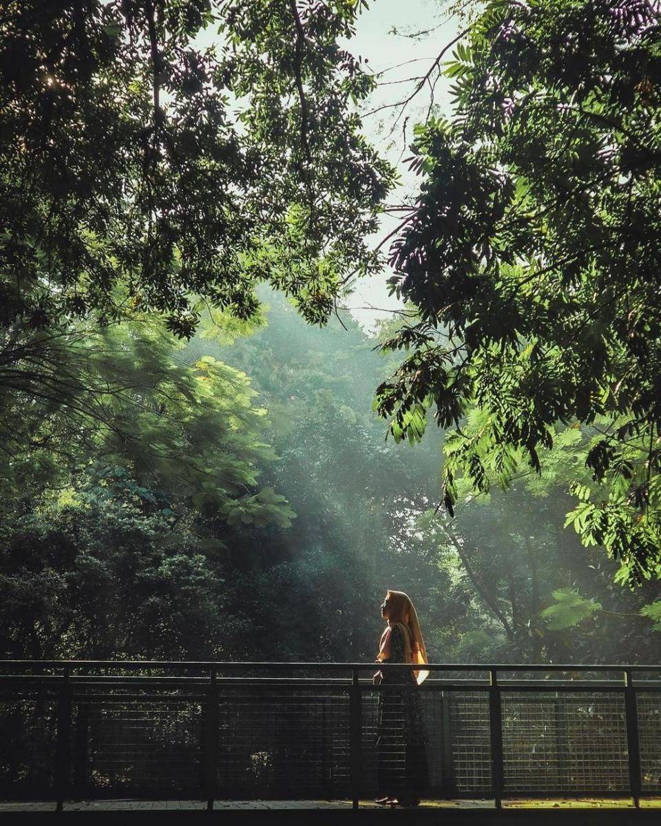 Hutan Kota Babakan Siliwangi, Bandung (instagram.com/ayorizqi)