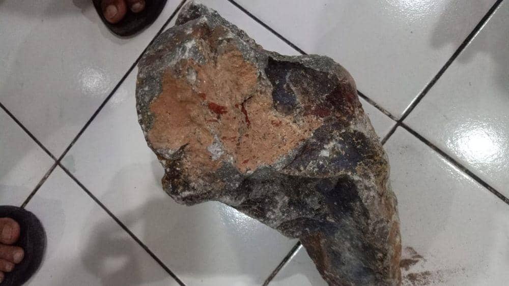 Barang bukti berupa batu yang dijadikan pelaku untuk menganiaya korban. Dok. Humas Polres Tuban
