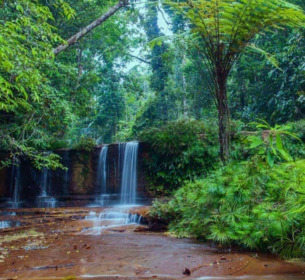 Taman Nasional Bukit Lambir (Instagram.com/miriborneoinfo)
