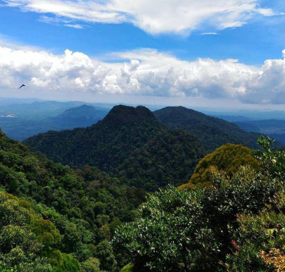 Taman Nasional Kubah (Instagram.com/banus_abin)