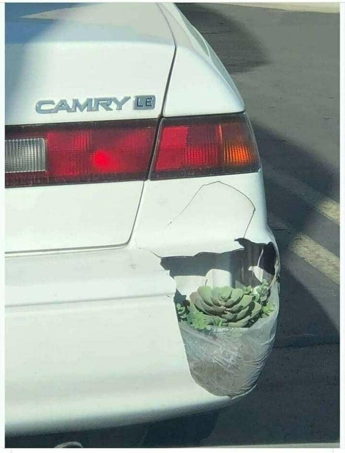 'DI-WHY' bikin ngakak (reddit.com/the123king_reddit)