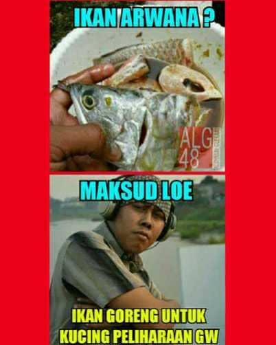 masak ikan arwana (facebook.com/Meme Comic Lovers)