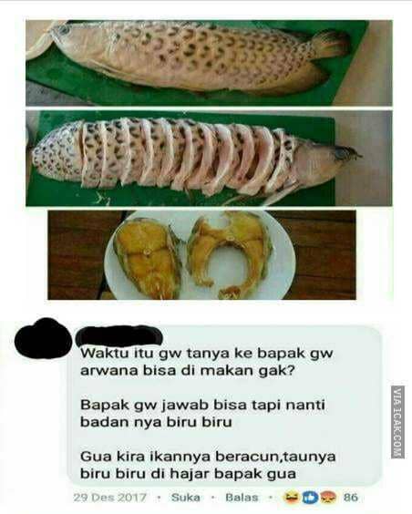 masak ikan arwana (1cak.com/2275949)