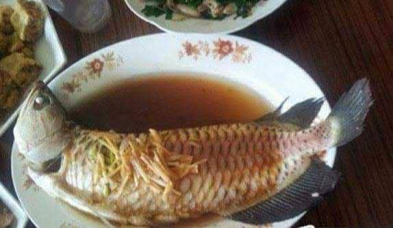 masak ikan arwana (twitter.com/KocakTxt)