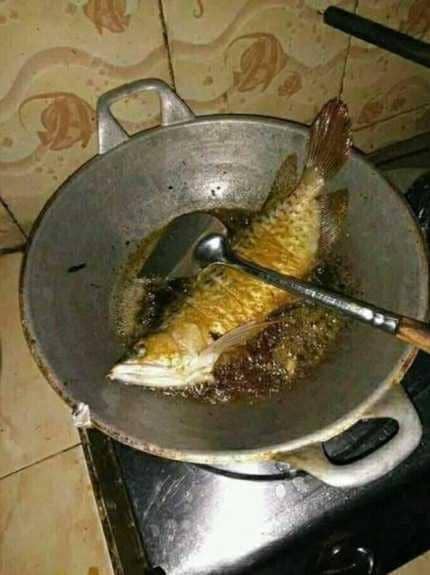 masak ikan arwana (1cak.com/2487373)