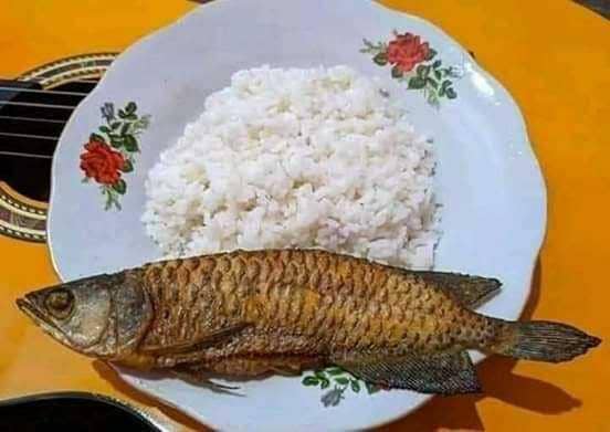 masak ikan arwana (twitter.com/KocakTxt)