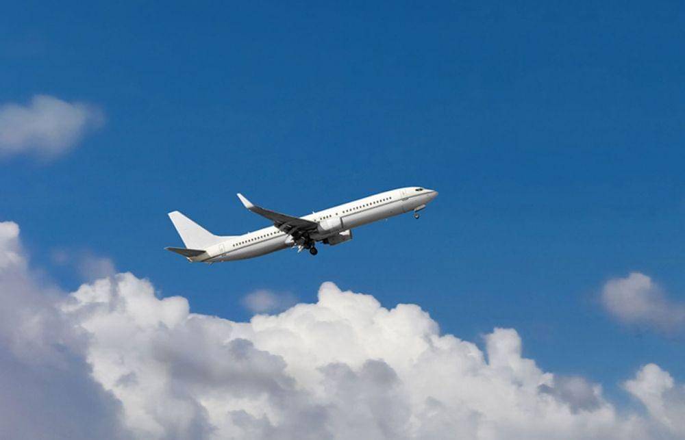 gardeningknowhow.com