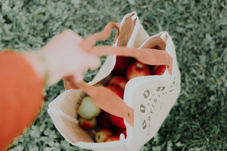 ilustrasi belanja menggunakan reusable bag (unsplash.com/Pricilla Du Preez)