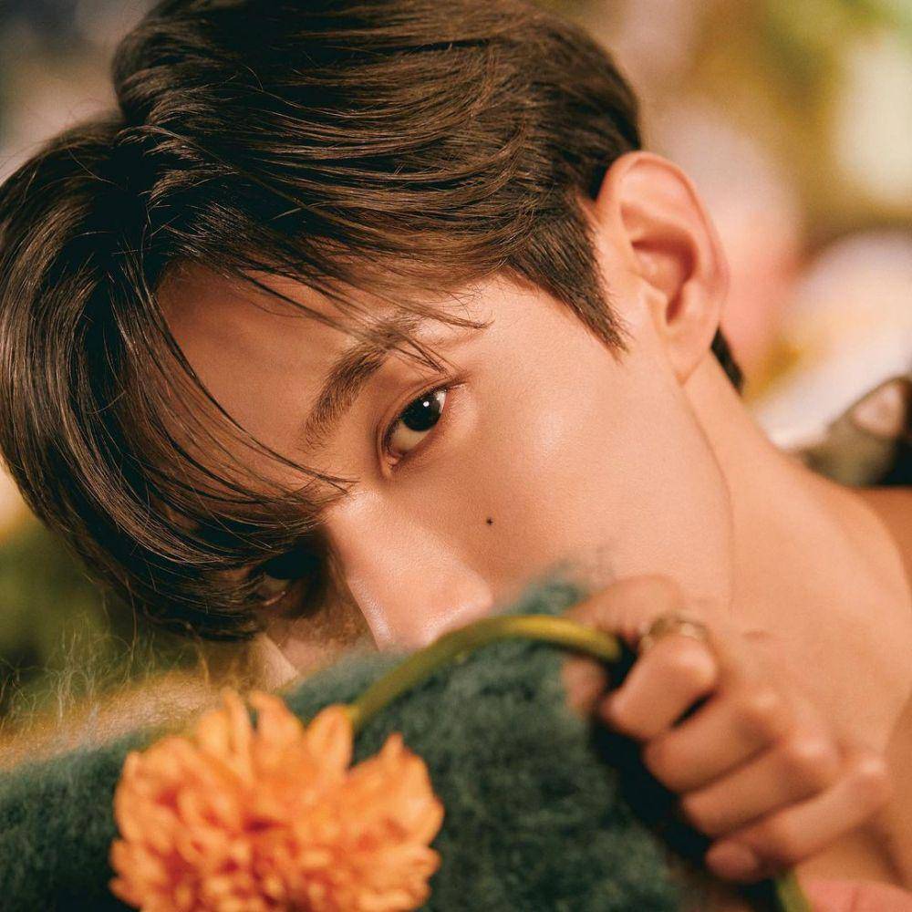 DK SEVENTEEN (instagram.com/saythename_17)