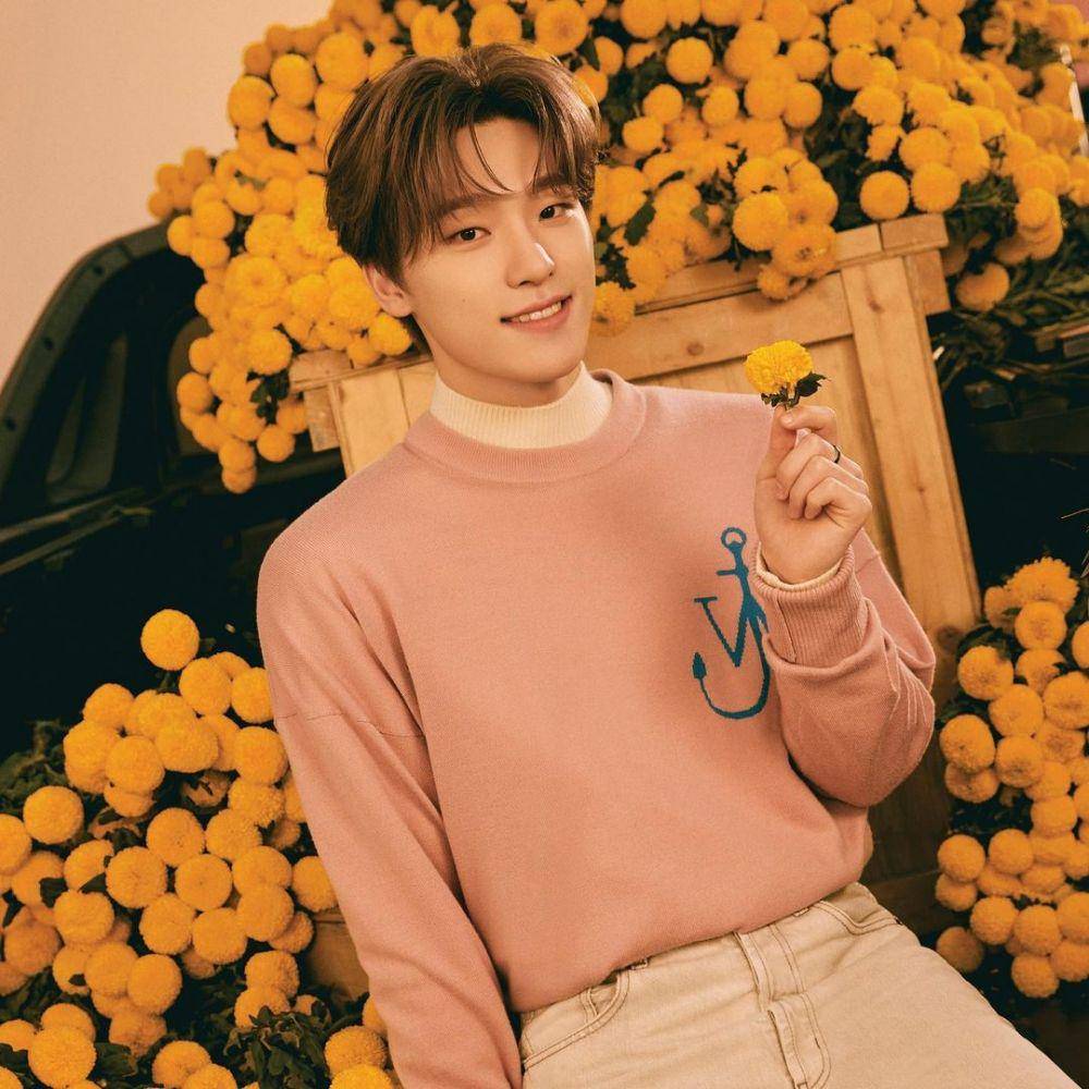 Dino SEVENTEEN (instagram.com/saythename_17)