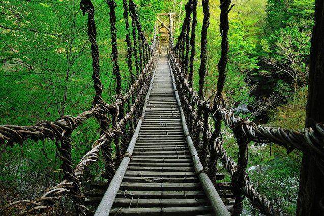 Jembatan Kazurabashi (shikoku-tourism.com)