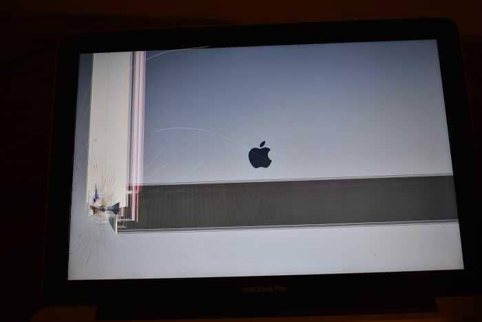 momen apes saat menyetrika (reddit.com/geekenox)