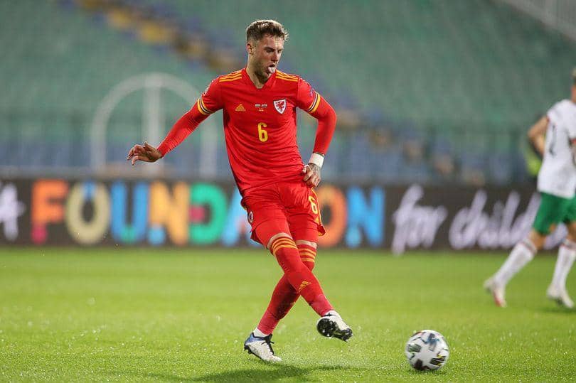 potret Joe Rodon bersama Timnas Wales(walesonline.co.uk)