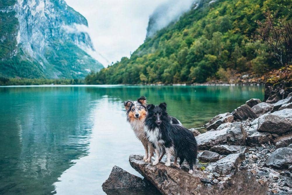 Danau Lovatnet (instagram.com/sofietjemsland)