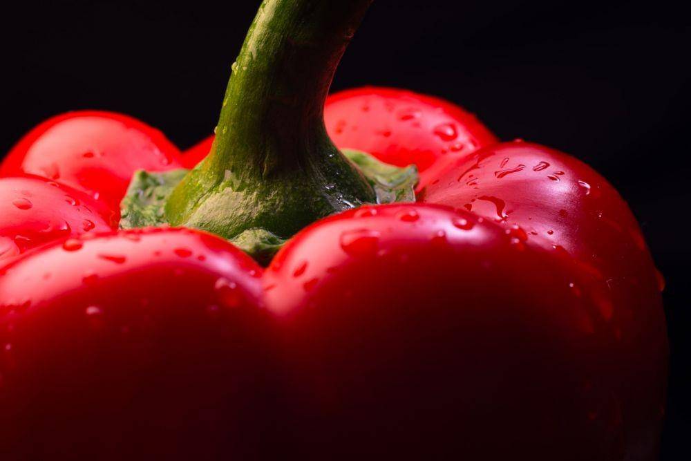 ilustrasi paprika merah (unsplash.com/Theo Crazzolara)