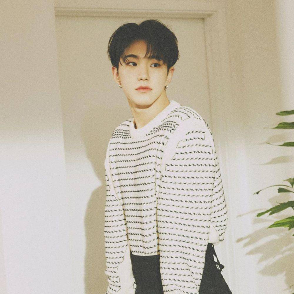 Hoshi SEVENTEEN (instagram.com/pledis_17)