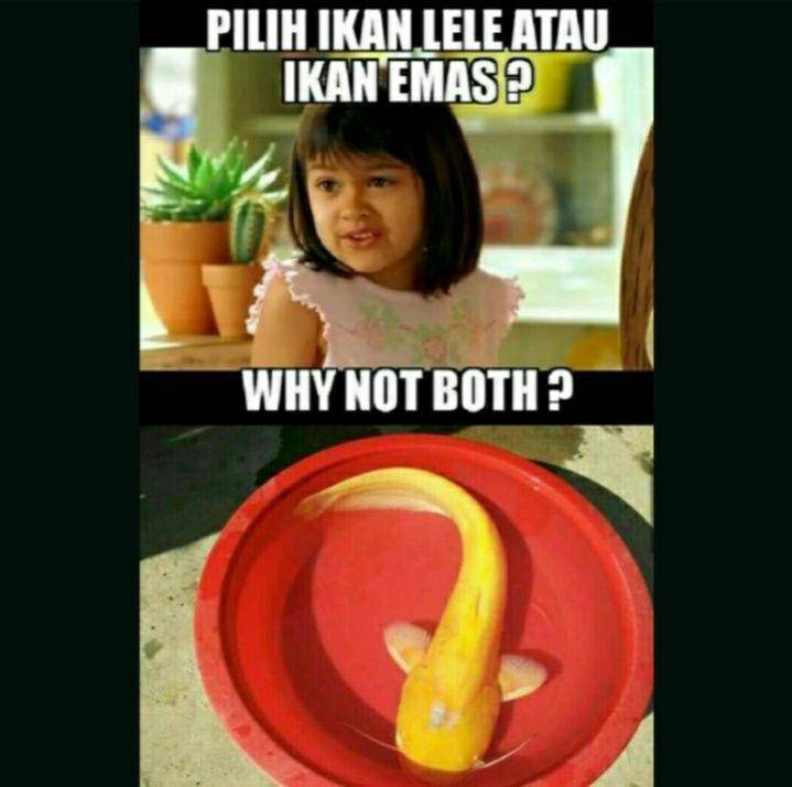 potret lucu lele gak biasa (1cak.com)