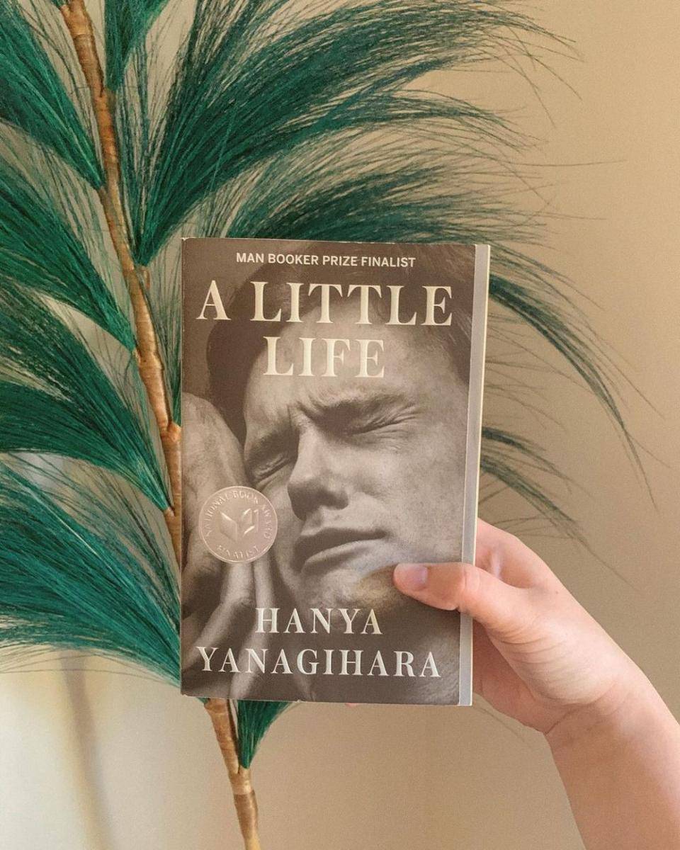 A Little Life oleh Hanya Yanagihara (instagram.com/stephgetslit)