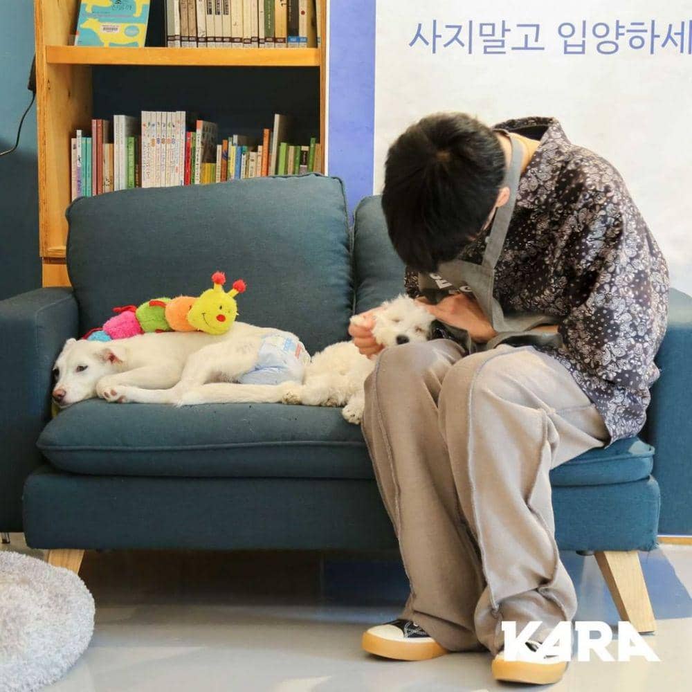 Way V (instagram.com/animal_kara)