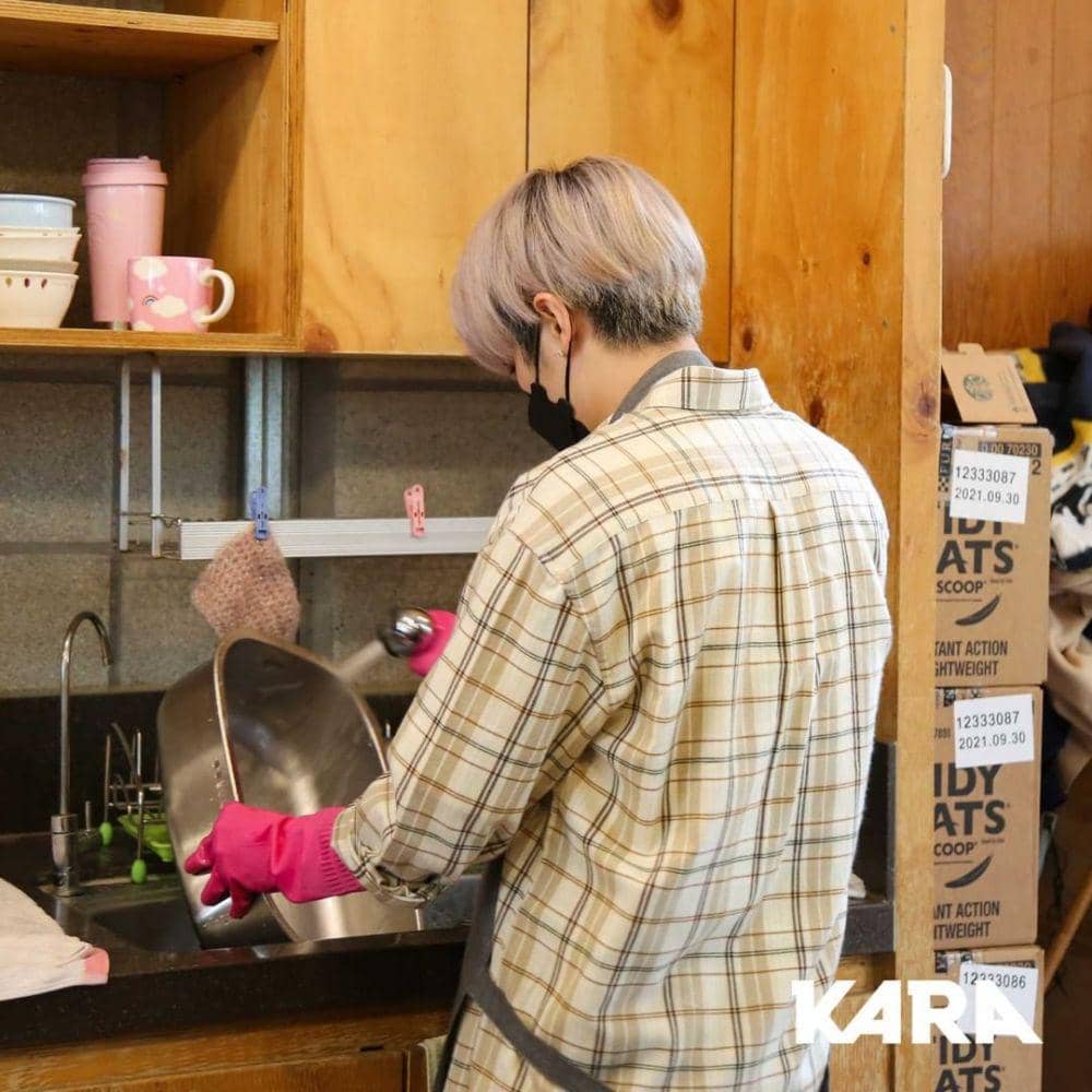 Way V (instagram.com/animal_kara)