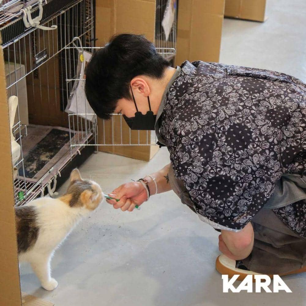Way V (instagram.com/animal_kara)