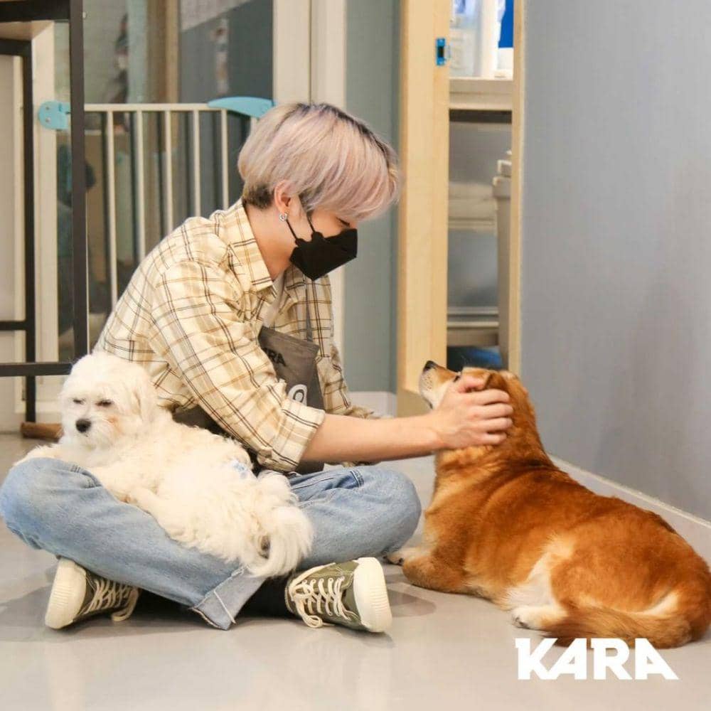 Way V (instagram.com/animal_kara)