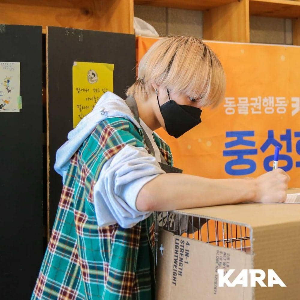 Way V (instagram.com/animal_kara)