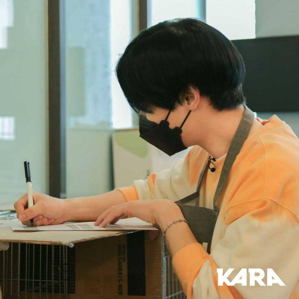 Way V (instagram.com/animal_kara)