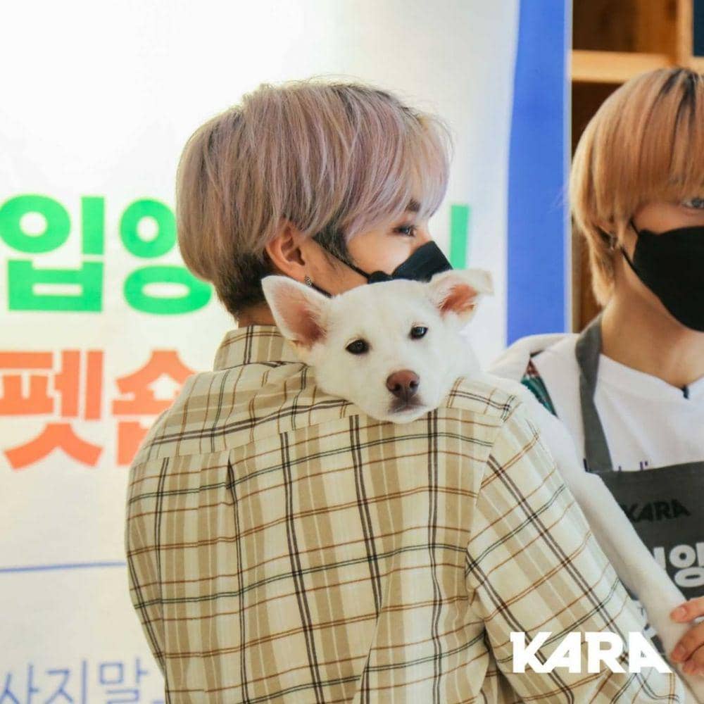 Way V (instagram.com/animal_kara)